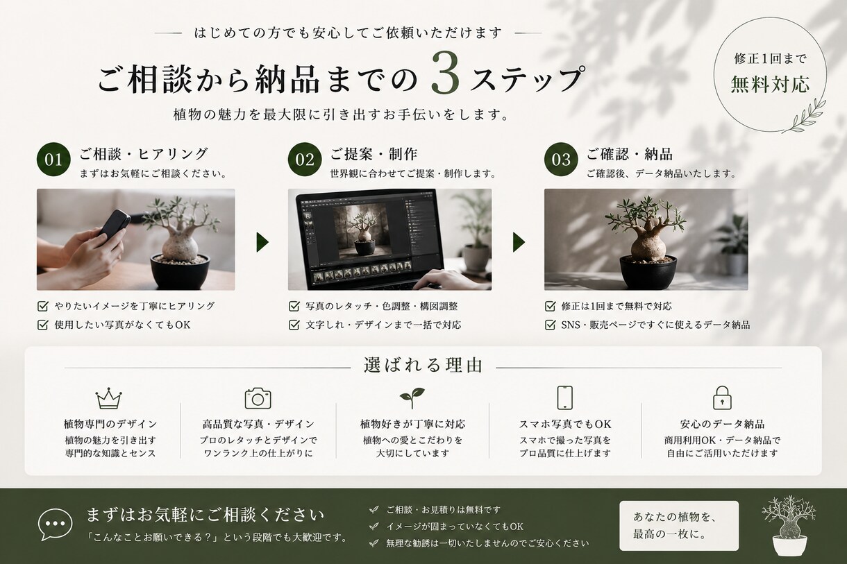 塊根植物・アガベなど植物を制作します 欲しくなる”世界観”にととのえます イメージ3