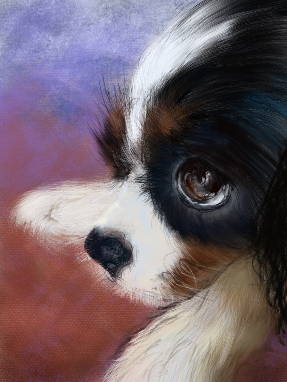 iPadでペットや風景などの絵を描きます ホット和むような絵を飾りたい方へ イメージ2