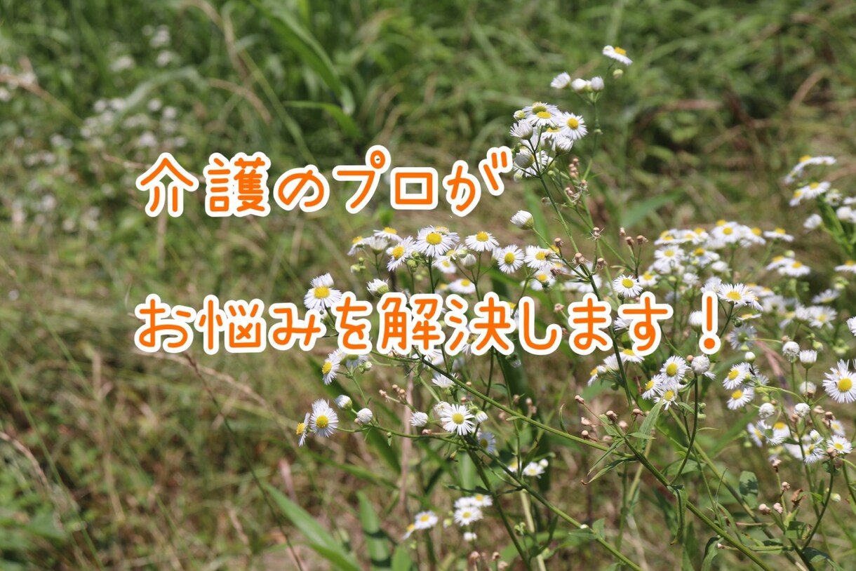 元ケアマネ心理カウンセラーが介護の悩み受け止めます あなたの悩み、モヤモヤ、疑問、なんでも聞かせて下さい。 イメージ1