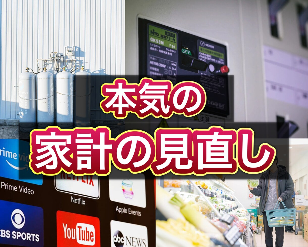 家計費の見直しサポート！固定費を削減します 家計が不安な方へ！ビデオチャットで節約サポートします！ イメージ1