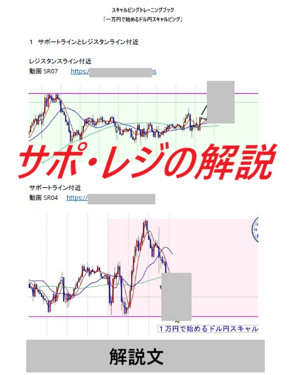 一万円で始めるドル円スキャルピング手法　公開します 動画42本で解説するスキャルピントレーニングブック イメージ5