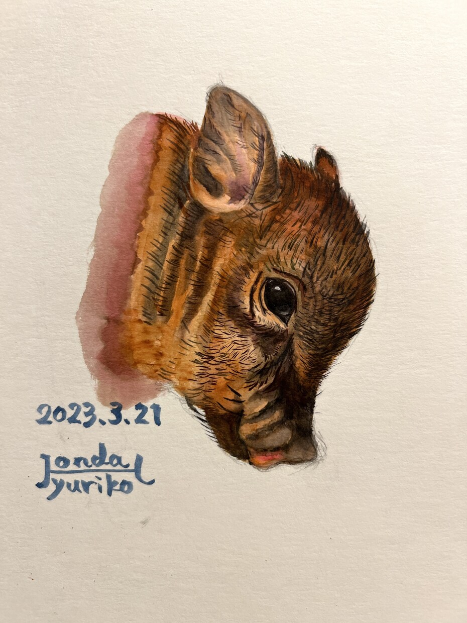 ペットのイラストを描きます 愛情のこもったタッチでペットちゃんたちのイラストを描きます。 イメージ3