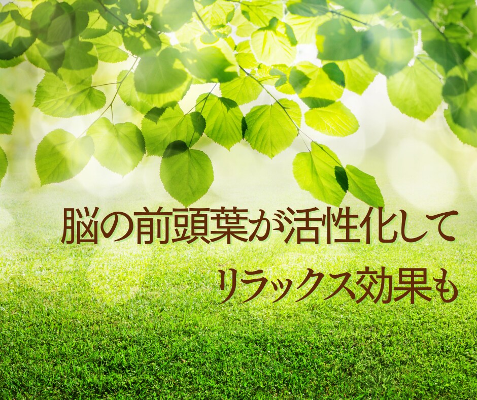 1時間集中チャット✨相談・雑談・愚痴受けとめます 初めてでも大丈夫✨モヤモヤ/恋愛/人間関係/育児/仕事/性 イメージ5