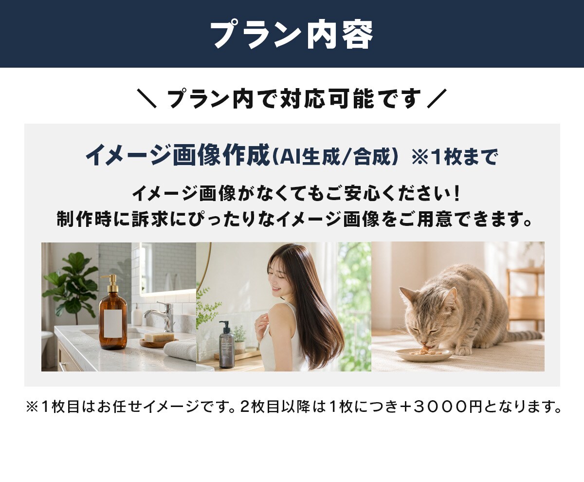 ECモール向けメイン画像(第一画像)を作成します 【丸投げOK】EC実務経験を活かし市場分析から構成・制作まで イメージ5