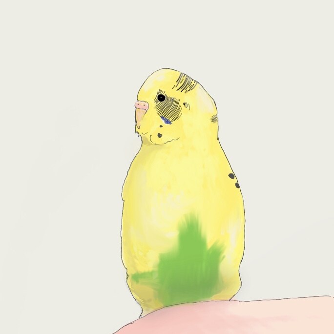 ペットのイラストを描きます 犬・猫・小鳥などあなたのペットをおしゃれに描きます イメージ5