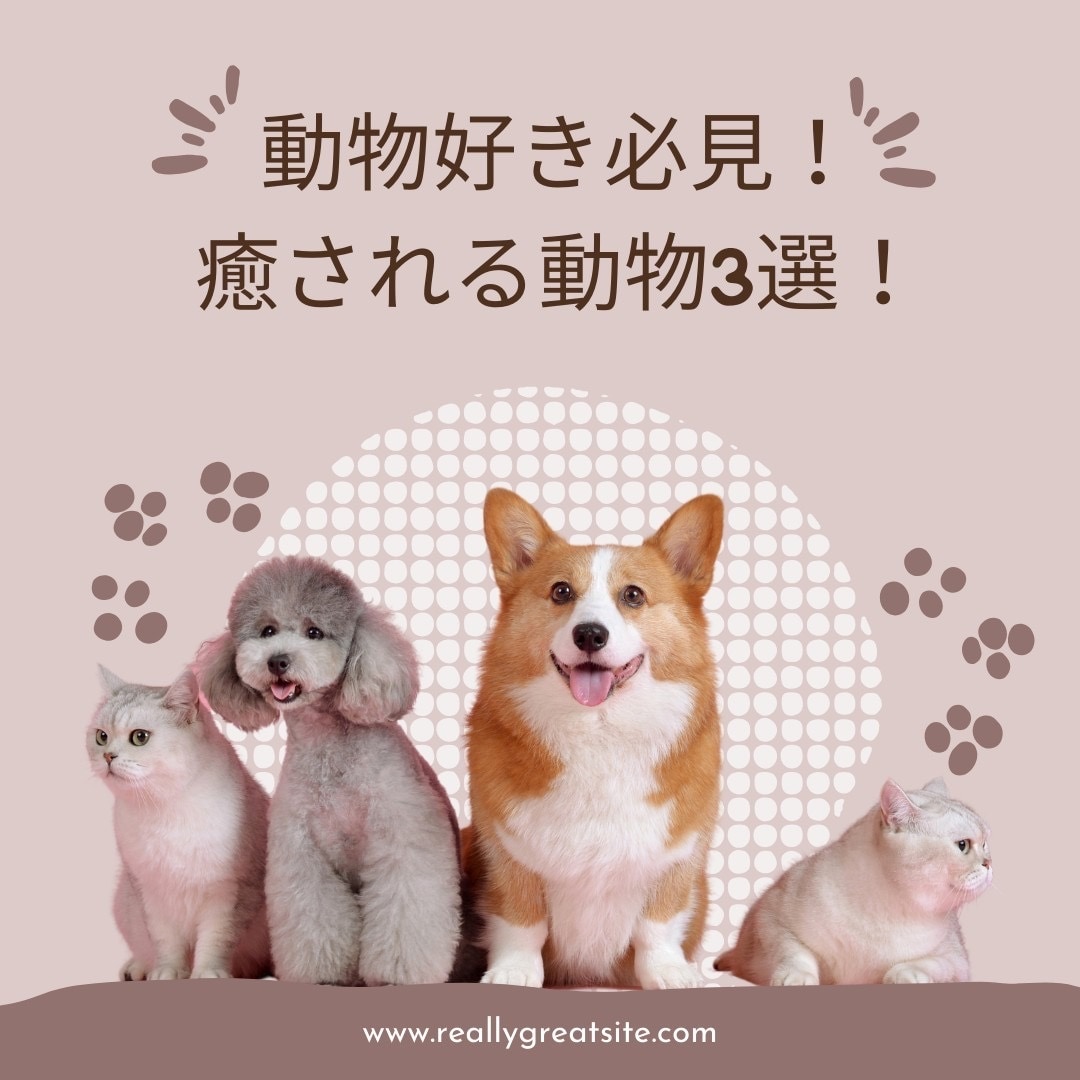 動物好き必見！！のデザインを提供致します 動物の特徴や習性を短く簡潔にまとめました イメージ1