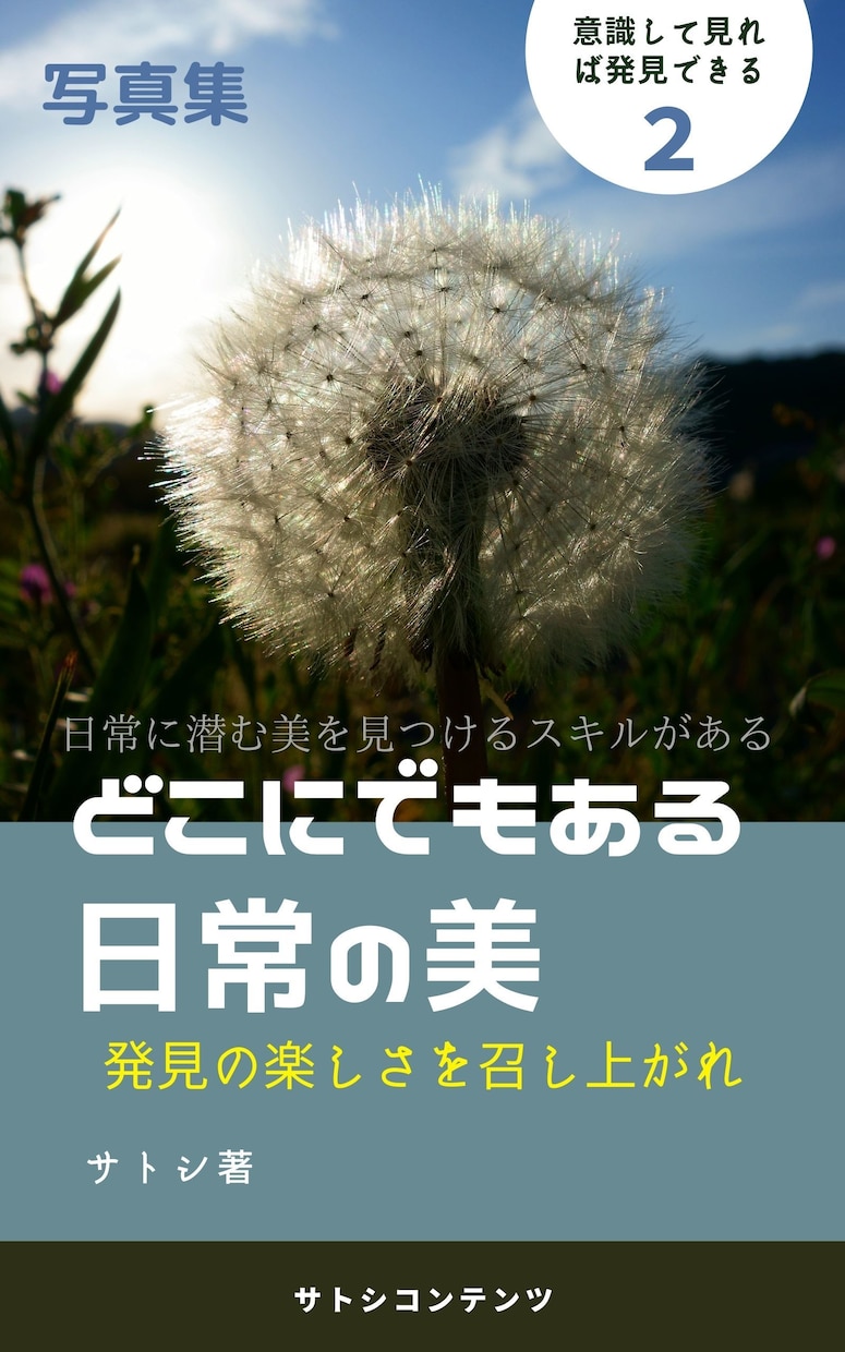 kindle電子書籍の表紙デザインを作成します 文章内容に沿った表紙デザインを作成します イメージ5
