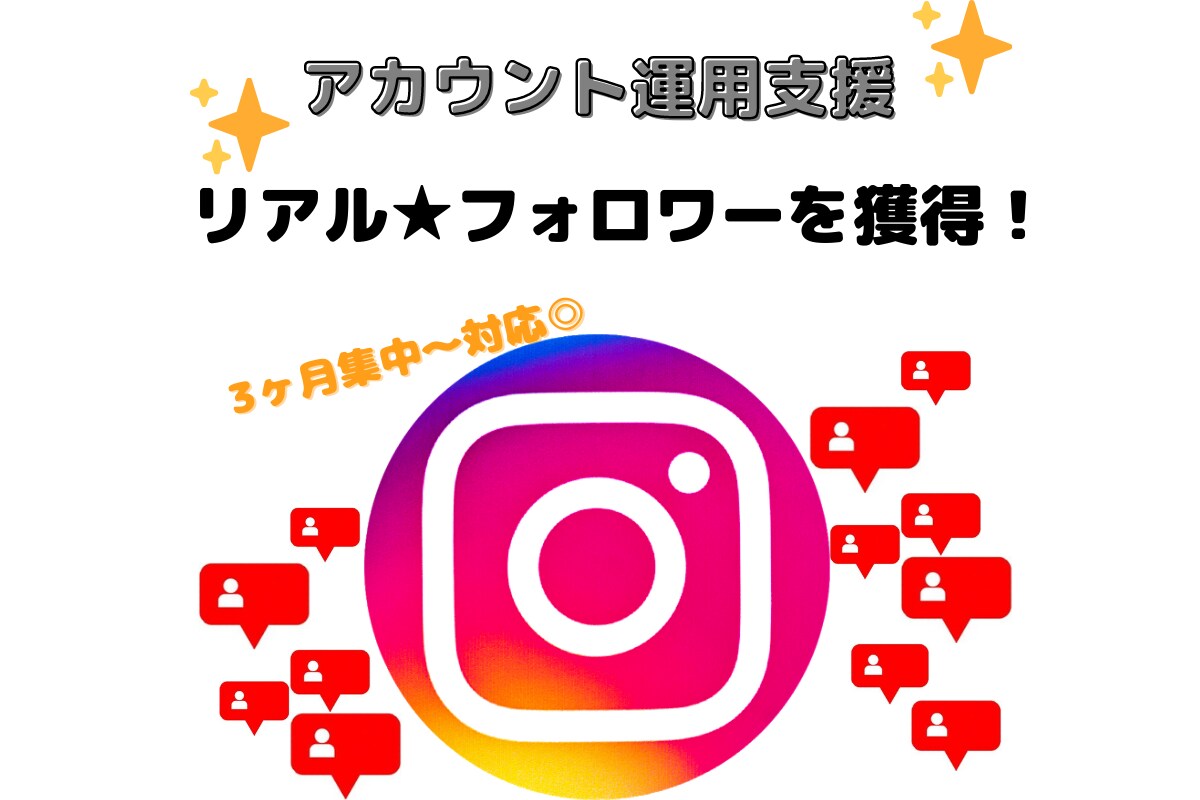 極上リアル！国内アカウント★フォロー支援します 3ヶ月集中コース～♪お試しキャンペーン価格！ イメージ1