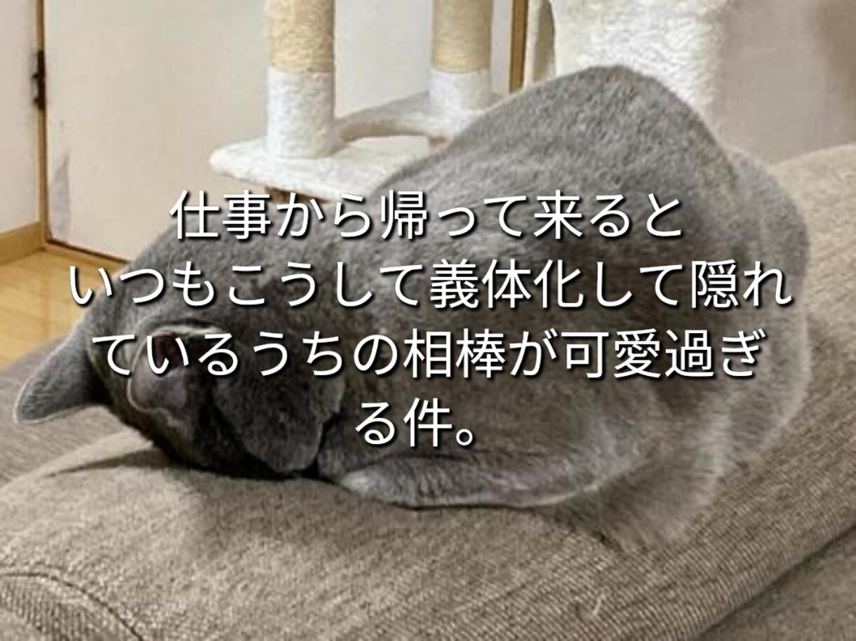 気軽に使ってね♪あなたの女友達になります 女性と話す練習や恋愛相談・雑談・愚痴・優しく受けとめます。 イメージ3