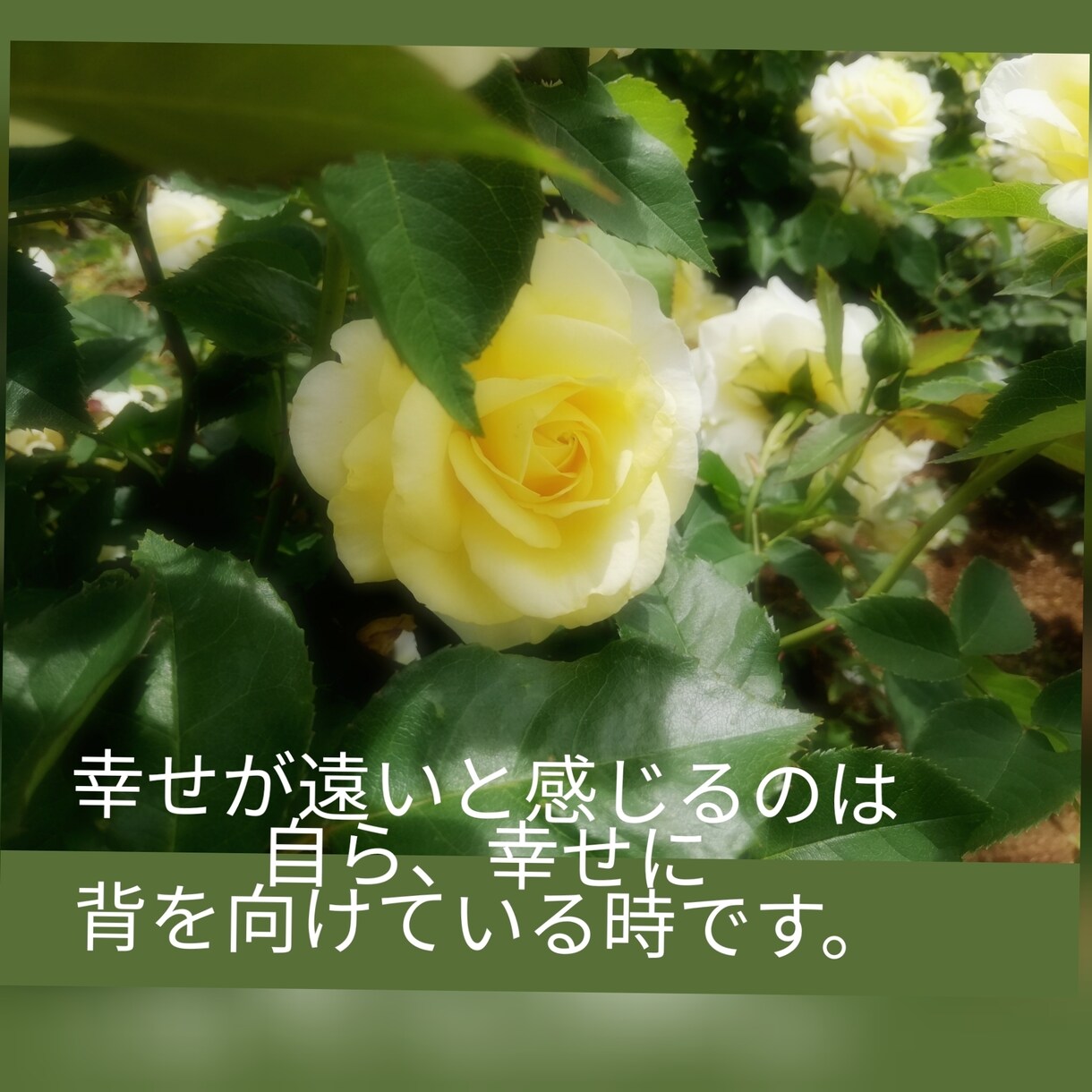 赦せない、その気持ちが自分を縛ってます 赦せない事、それは相手より自分を傷つけている イメージ8