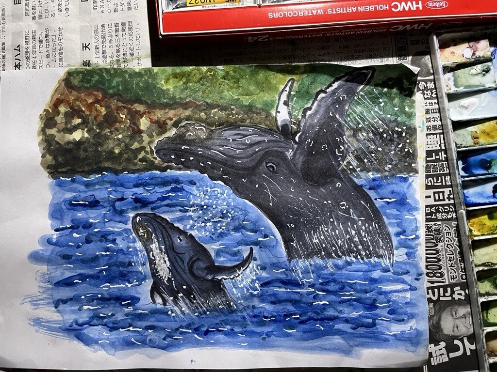 海洋生物のイラスト描きます 小さな魚から大きなクジラまで、種類色々お任せください！ イメージ4