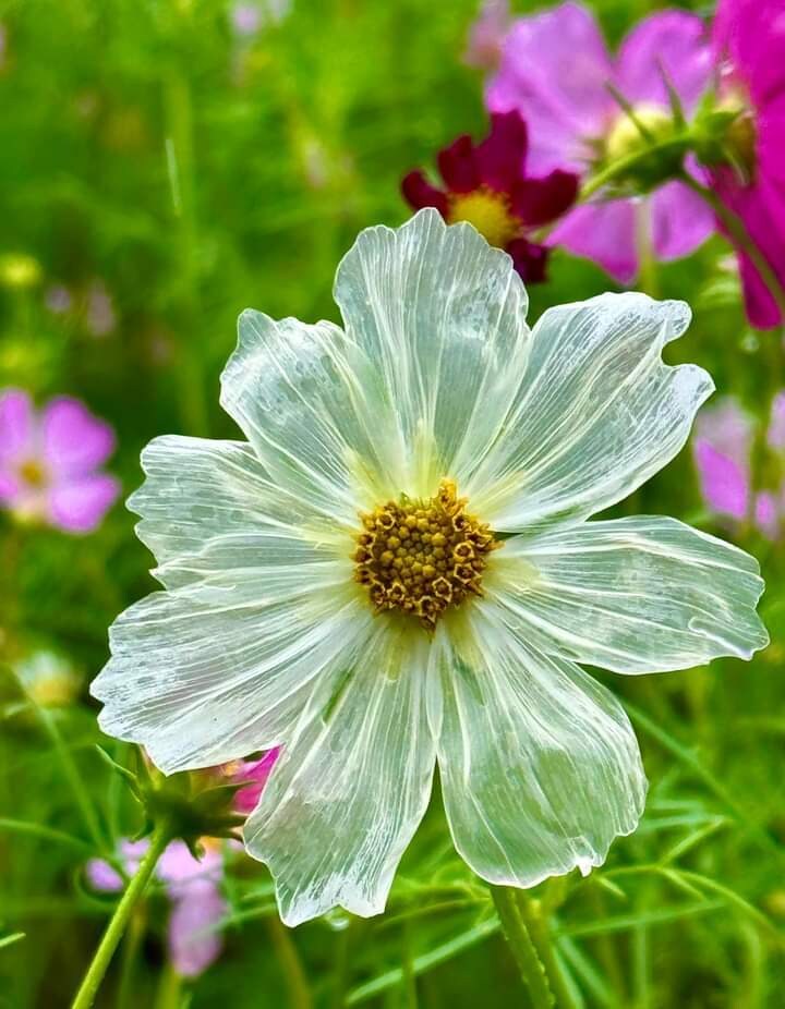 経験者だからこそ♡あなたの涙に寄り添うこと出来ます 遺族の無念さ♡悲しみ後悔　孤独感　弱音愚痴　切ない実家終い談 イメージ7