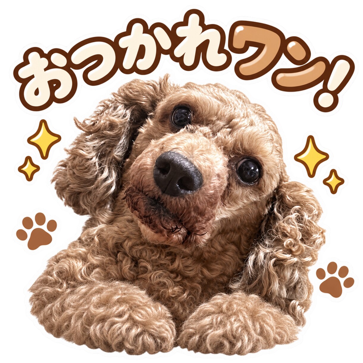 写真から笑える関西弁LINEスタンプを作ります 愛犬・赤ちゃん・夫婦・友達の写真が、毎日使えるスタンプに！！ イメージ4