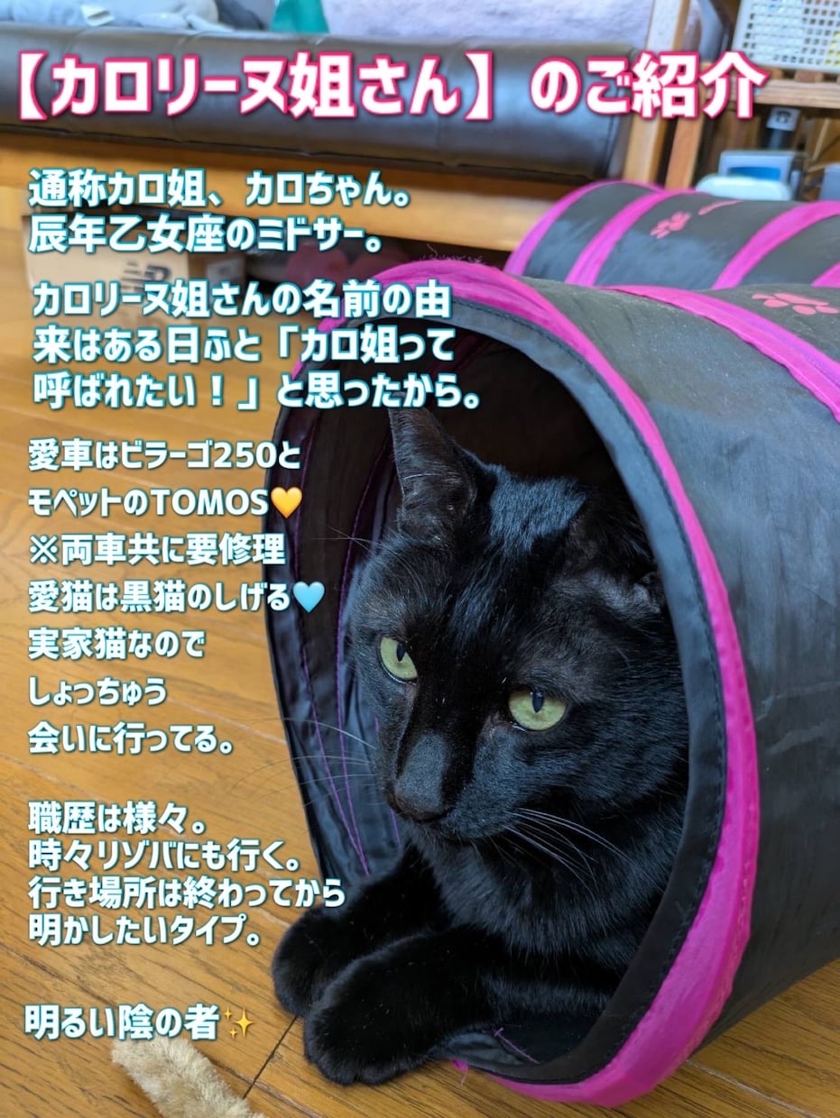 チャットで！日々の喜怒哀楽、どんなお話でも聞きます 気さくな女カロリーヌ姐さんが会話相手になります♪ イメージ4