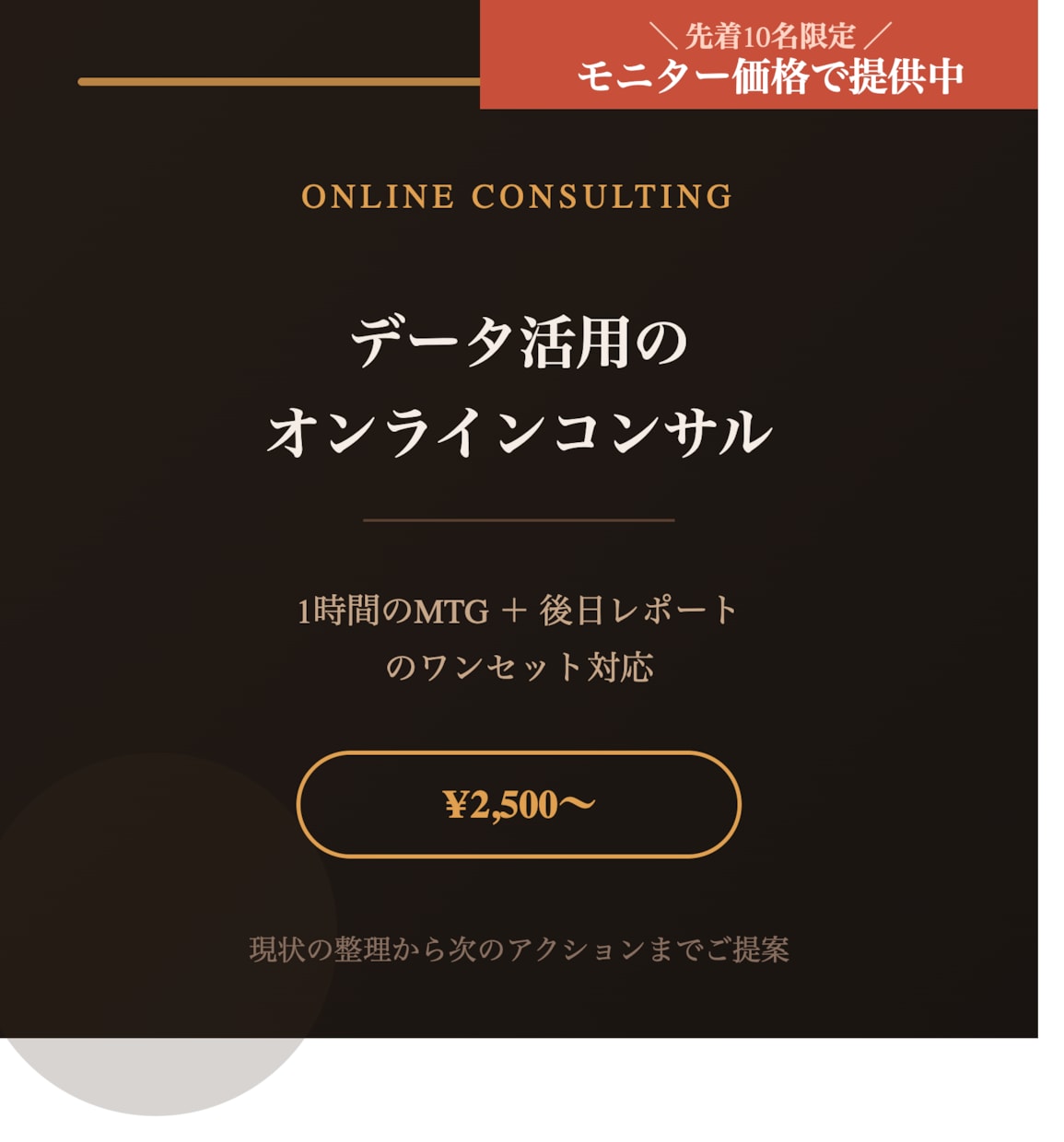 データ活用のオンラインコンサルを行います 1時間MTG+後日レポートのワンセット対応 イメージ1