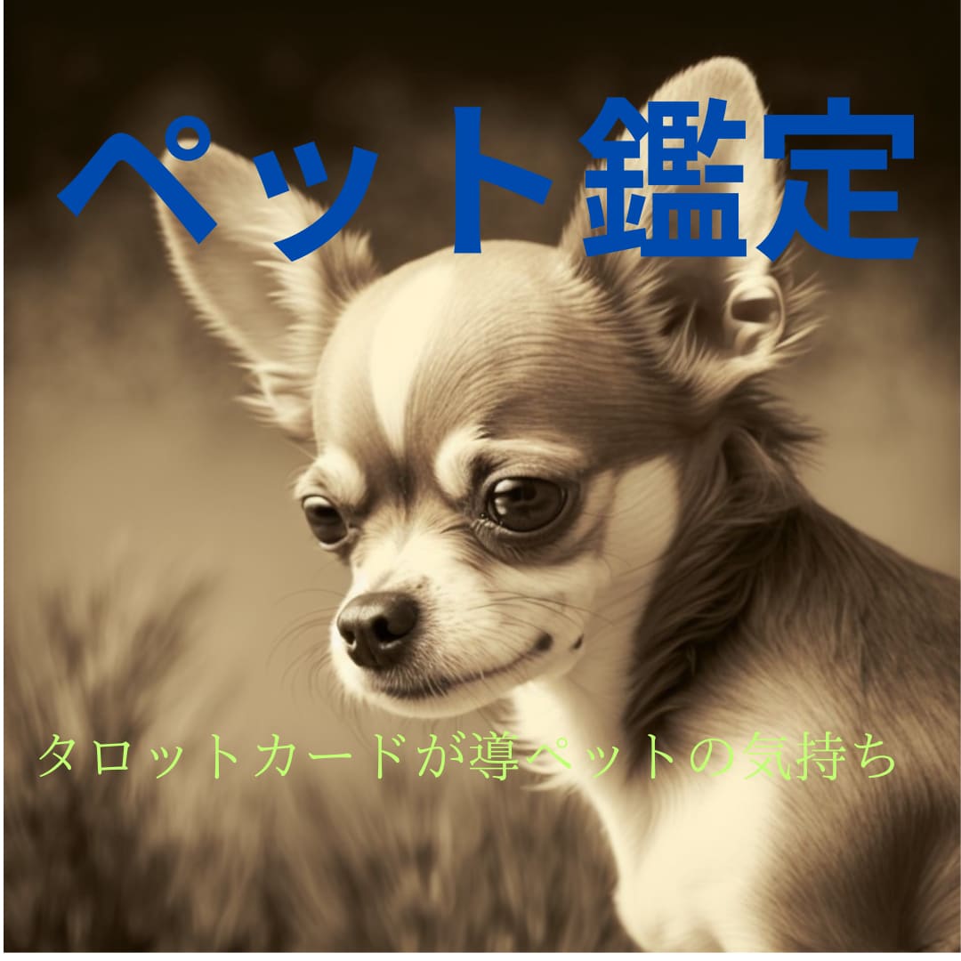 あなたの大切なペット鑑定します ペットの気持ちを鑑定いたします イメージ1