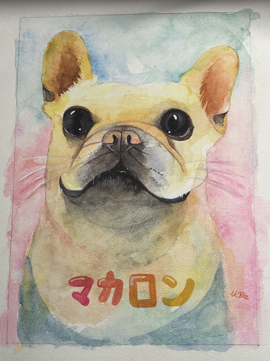 A5～A4サイズで動物ちゃんの似顔絵描きます 水彩でふんわり優しく♬.*ﾟ可愛らしい表情を描きます イメージ2