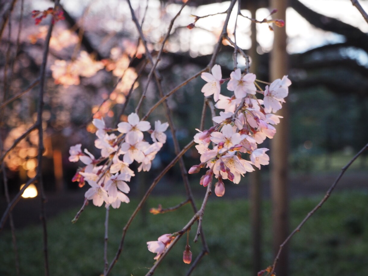 貴方だけの【御伽話】を語ります 生年月日から貴方だけの【御伽話】を制作致します。 イメージ1
