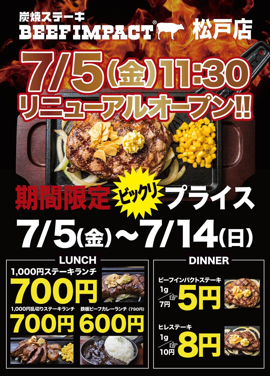 成果が出るチラシ制作！目を惹くデザイン可視化します 最短即日！店舗、商品、サービスを宣伝したい！チラシに困ったら イメージ6