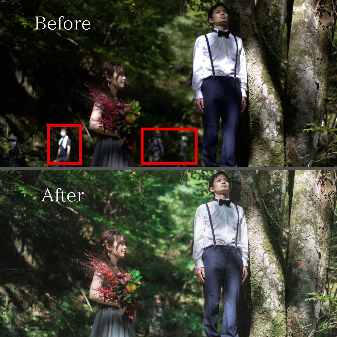 写真に写り込んだ不用物を除去します レタッチソフトを使い消したい物を除去します。 イメージ1