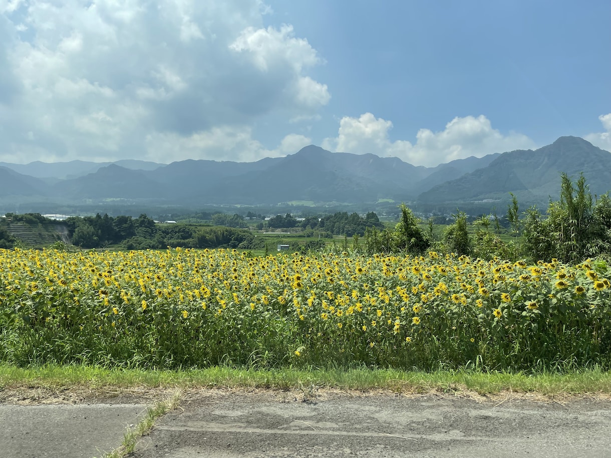 あなたの今のお気持ちを丁寧に受けとめます あなたの心に小さな灯りを灯したい。心の旅人。 イメージ1