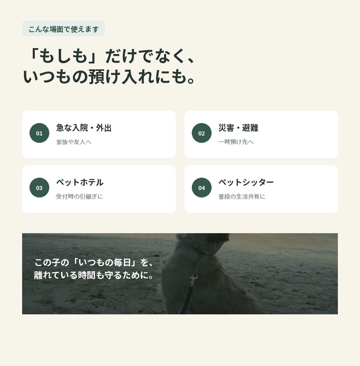 もしもの時のペット専用引継ぎ書を作ります 質問に答えるだけで入院・災害・急な預け入れの備えが完成します イメージ10