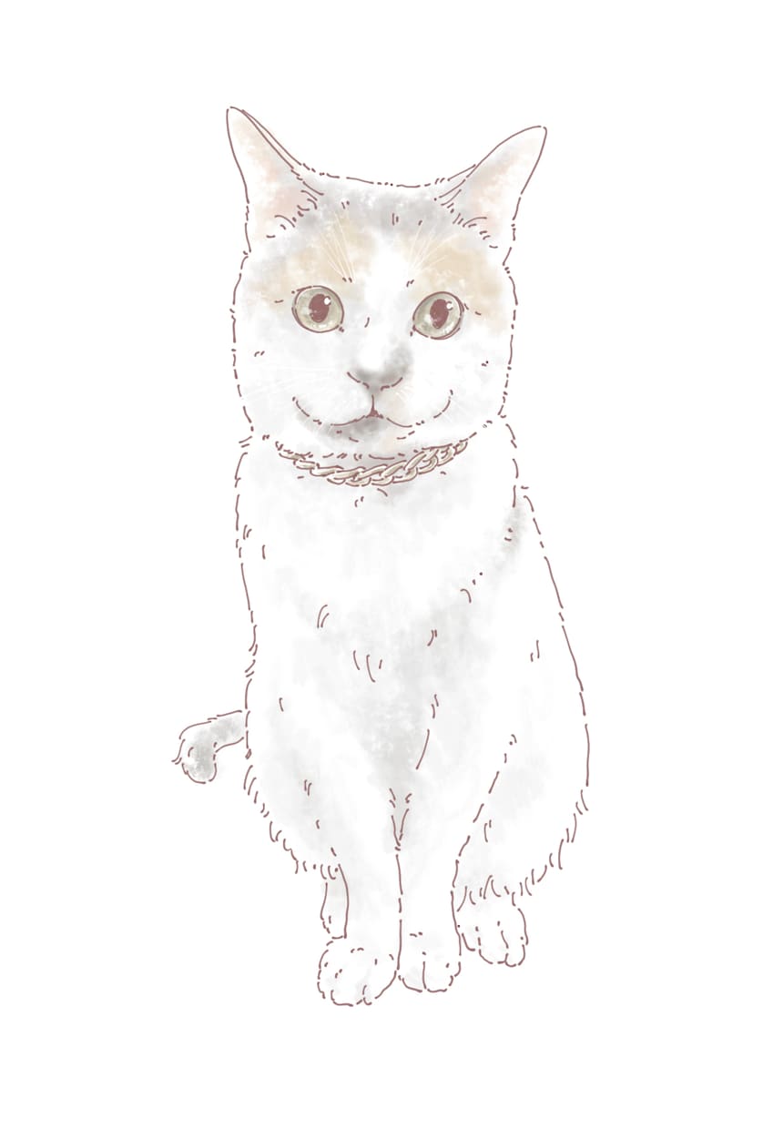温かく優しいタッチでペットのイラストお描きします データお渡し⭐︎アイコンやグッズ制作にもお使いいただけます♪ イメージ3