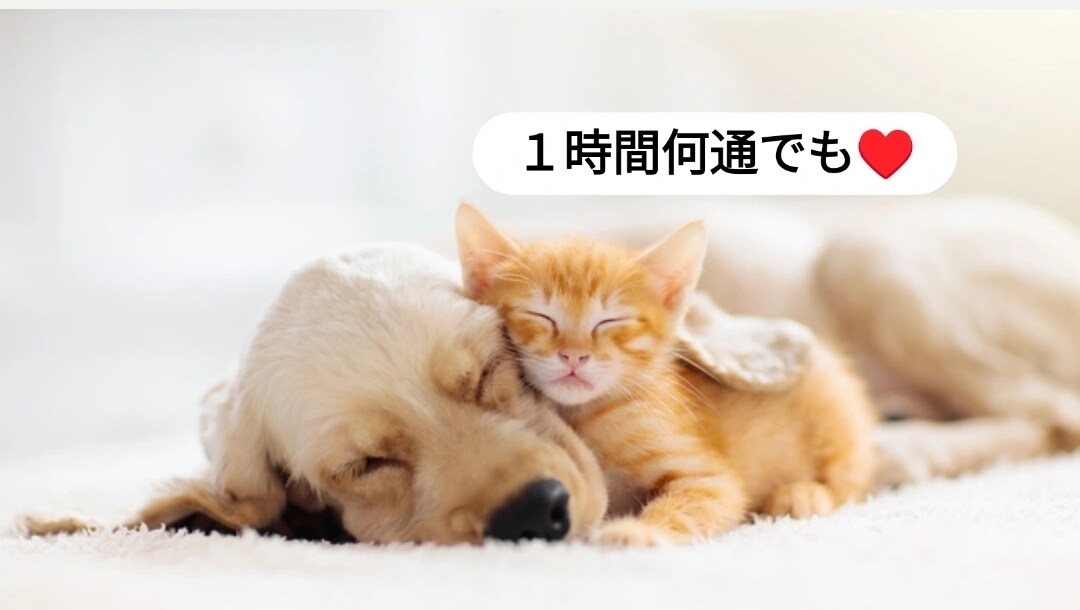 愚痴、恋愛、人間関係何でもお話し聞きます 夜職あがり一児のママ^^LINE感覚でお悩み聞きます✩.* イメージ1