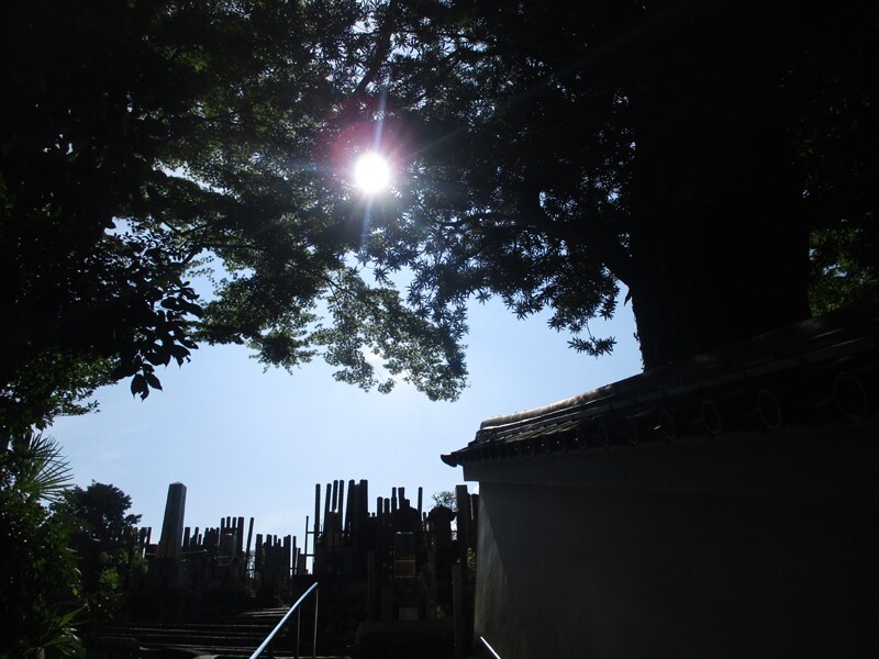 オンラインで京都のお墓掃除・お墓参り代行します 京都のお墓参りが難しい方のために心を込めてお参りいたします イメージ4