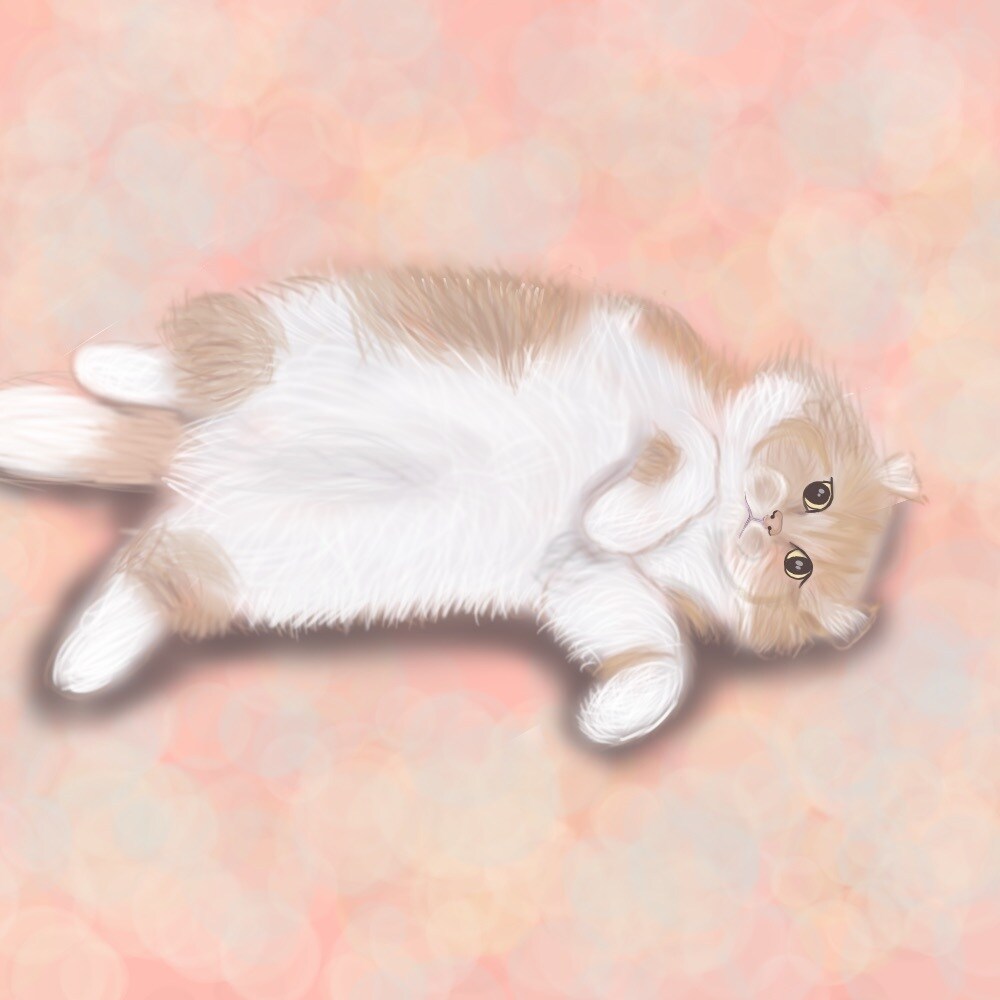ワンちゃん、猫ちゃんの似顔絵描きます リアルな感じの犬、猫ちゃんの似顔絵を描かせていただきます！ イメージ5