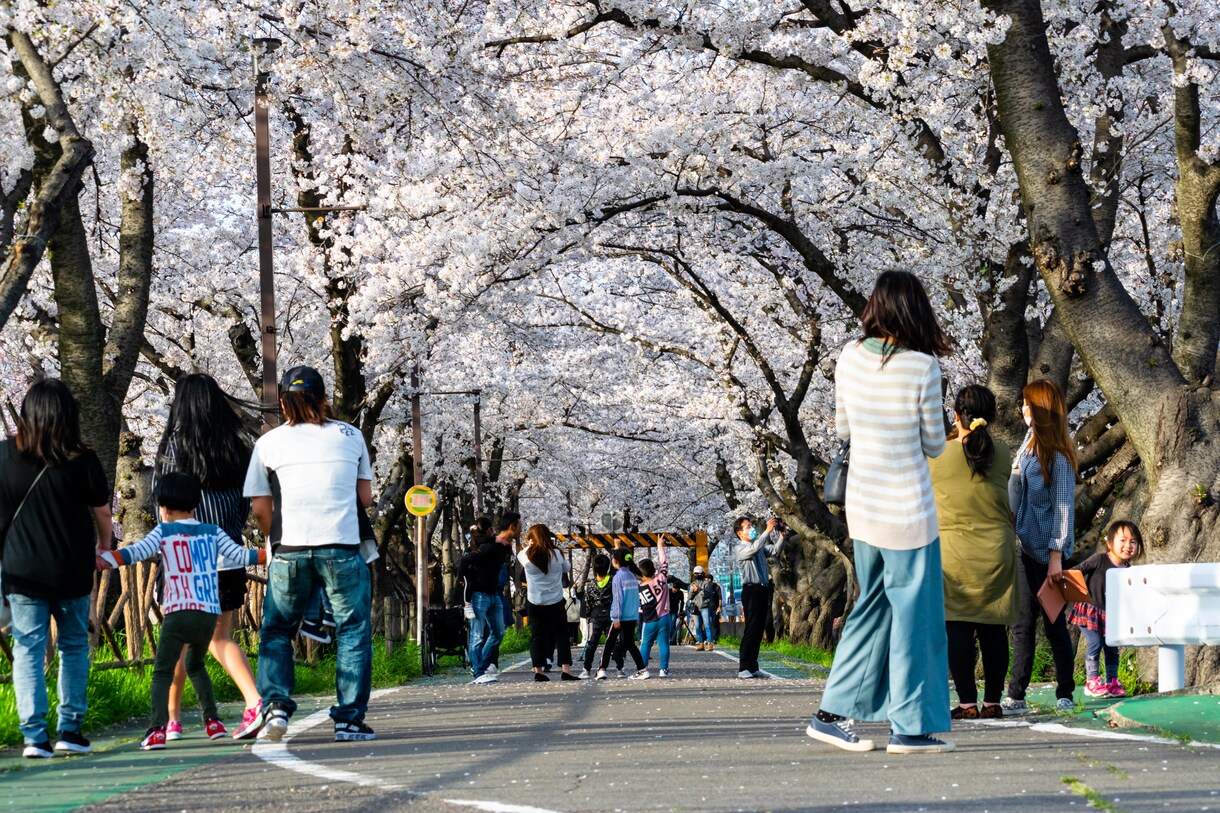 名古屋市内どこでもキレイな写真を撮って送ります なかなか外出できないあなたの代わりになんでも撮ってきます イメージ1