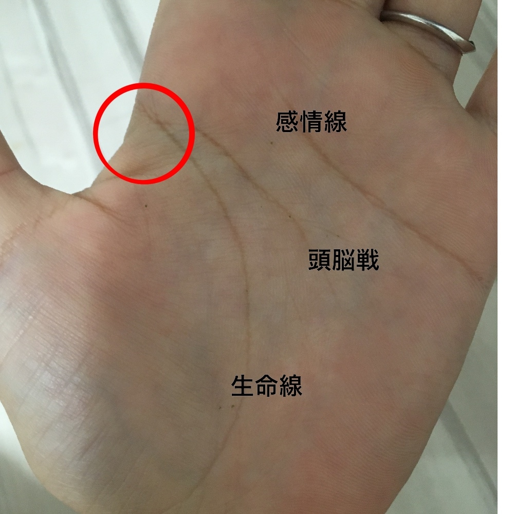 手相占いさせて頂きます 占い好きな方・何か悩みを持っている方など。どんな悩みにも！ イメージ1