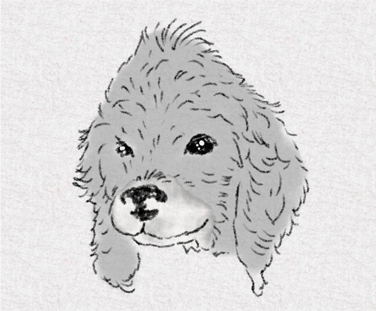 世界にひとつのうちの子似顔絵制作します 愛犬・愛猫・小動物OK、優しいタッチで大切な子をイラストに イメージ4