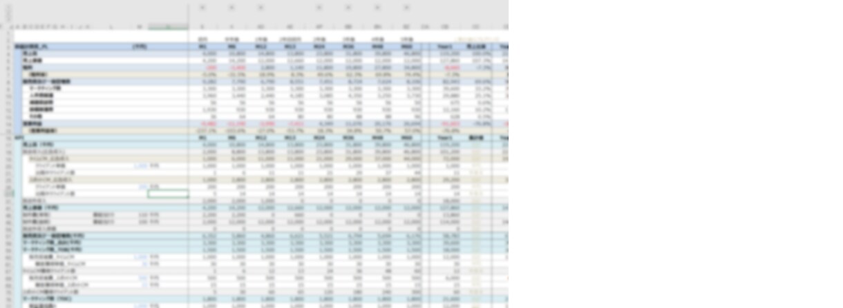 Excelで事業計画(KPI/PL)を作成します 一部上場の大手ネット企業の経営企画＆MBAホルダー＆事業経験 イメージ2