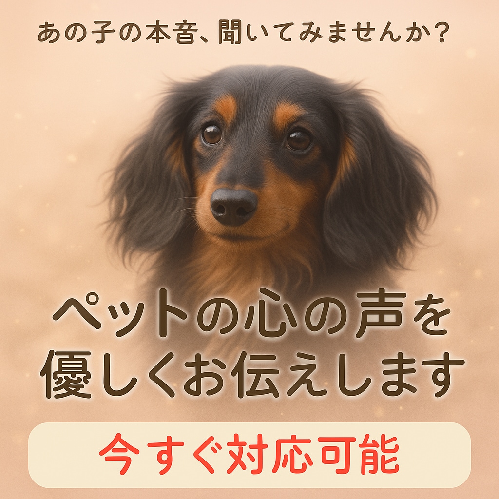 即日対応｜ペットの気持ち・伝えたい想いを霊視します 約2,000～3,000文字｜あの子の声をお届けします イメージ5