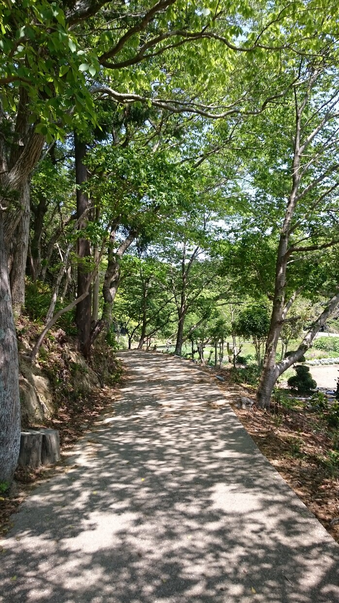 経験豊富な作業療法士が相談に乗ります 仕事、恋愛、子育て、社会の荒波に疲れた方へ イメージ2