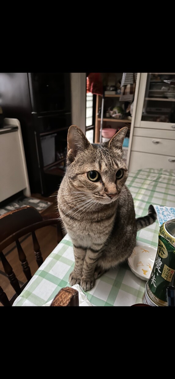 過去に病院に行くほど鬱になっています 今辛いひと、苦しい人、いつでも相談してください。 イメージ1