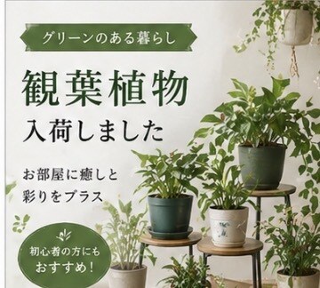 売れる店内POP作ります 表彰多数の現役店長が購買導線まで設計 イメージ2