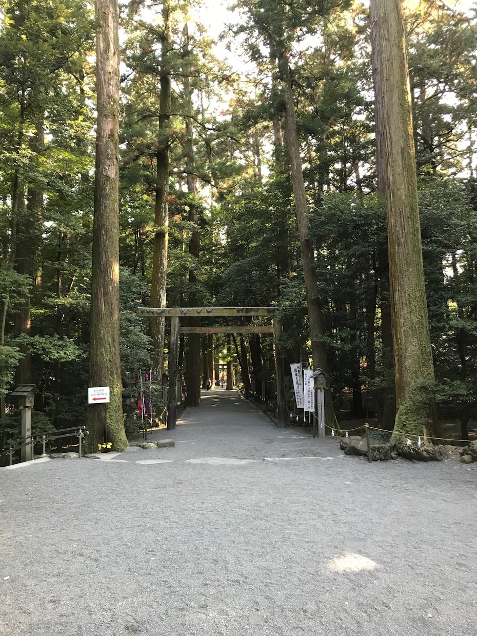 上司部下の愚痴恋愛悩み何でも聞きます 心の添い寝。モヤモヤイライラ何でもどうぞ イメージ4
