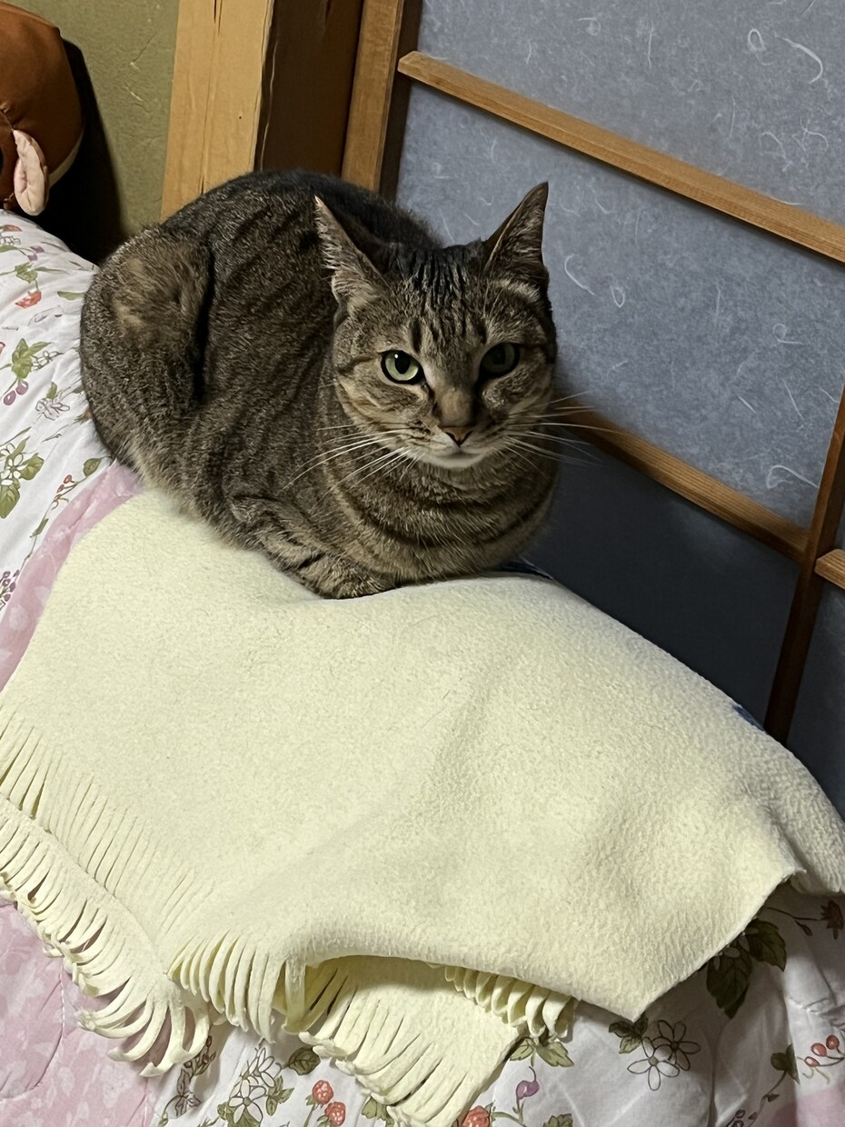 過去に病院に行くほど鬱になっています 今辛いひと、苦しい人、いつでも相談してください。 イメージ7