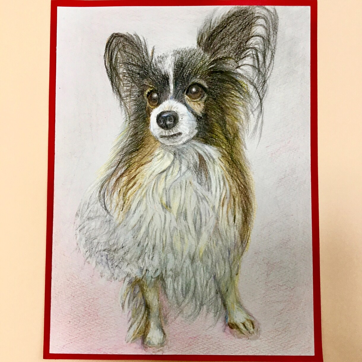 あなたのペットを色鉛筆で可愛く優しく描きます インスタでも描いた絵を沢山アップしています イメージ9