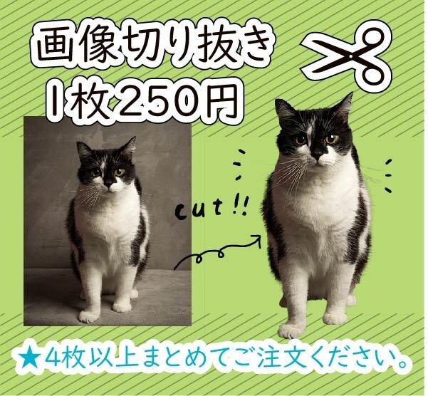 画像切り抜きます 1枚250円。4枚以上(1000円~)でご注文いただけます。 イメージ1