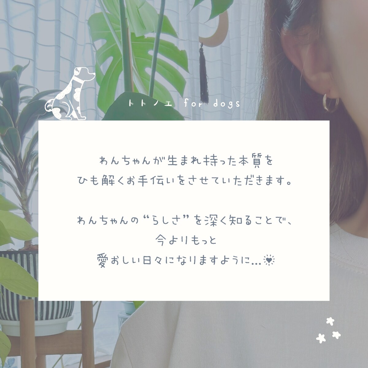 愛犬が生まれ持つ本質「人生の設計図」をひも解きます 愛犬の本質を深く知ることで、 今よりもっと愛おしい日々に。 イメージ7