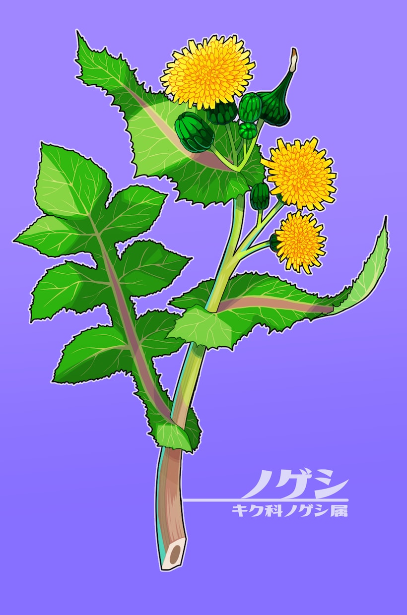 商用OK!お花のポップなイラスト描きます 可愛らしくてグッズ映えする、カラフルで目を引く植物イラスト！ イメージ6