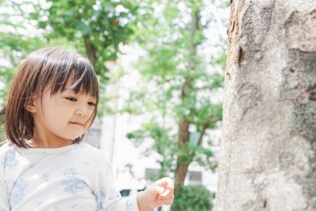 子育ての悩み聞きます 元保育士、幼稚園教諭です。子育ての悩み乗ります。 イメージ1