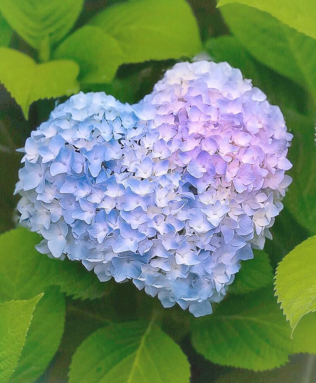 恋愛相談、夫婦間の愚痴、聞きます 不安やストレス吐き出しませんか？✨電話が苦手な方はぜひ✨ イメージ1