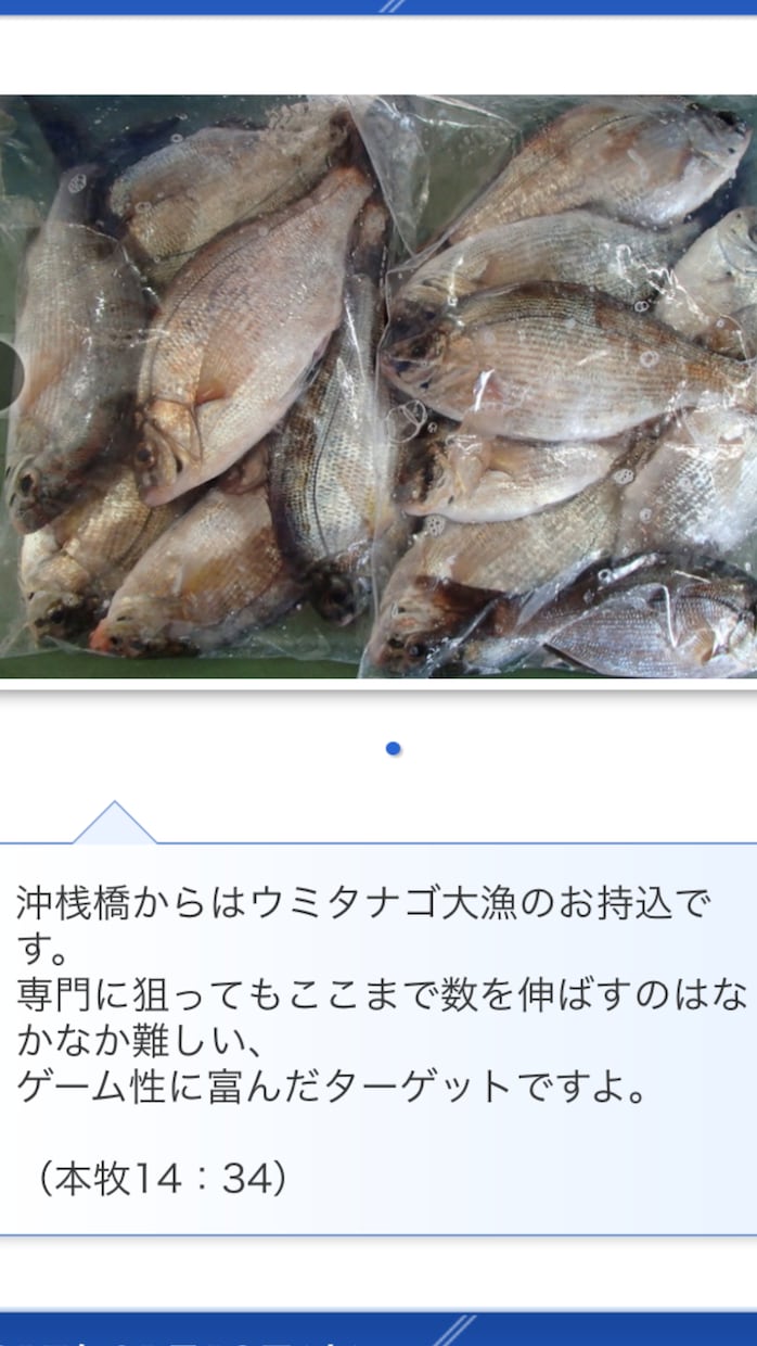 東京湾、横浜、護岸、海釣り公園　秘密釣り方教えます なんでこんなに釣れるの？GOGOフッシング イメージ1