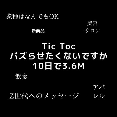 SNSコンサルティングTic Tokでバズらせます Z世代へのTic Tokでのマーケティングを成功に導きます。 イメージ1
