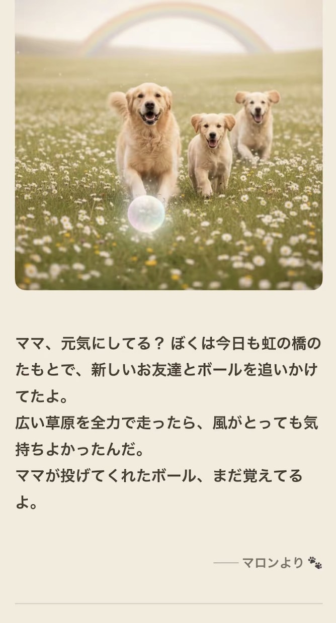 天国のあの子から、お手紙とお写真を1通お届けします あの子の性格や思い出から綴ります イメージ3