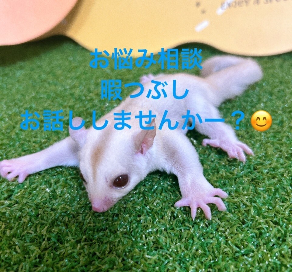 愚痴！暇つぶし！相談！なんでも聞かせて頂きます 誰かと話したい！寂しい！そんな時に使ってください！ イメージ1